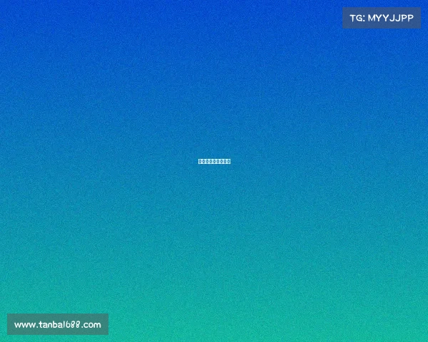 拳击赛事体系有哪些